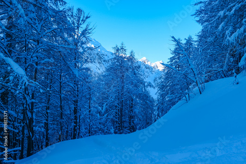 Panoramic view of snow capped mountain peaks of Karawanks mountain range in Bärental valley, Carinthia, Austria. Frozen tree branches in winter wonderland in Austrian Alps. Ski touring on sunny day photo