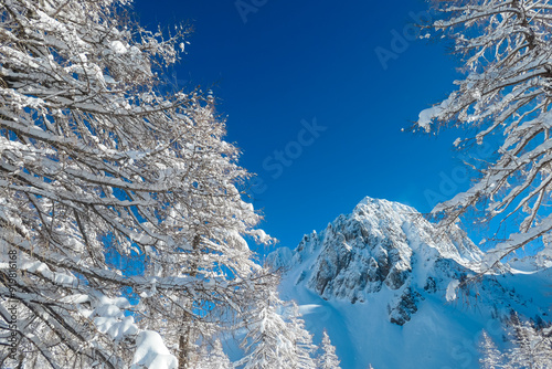 Panoramic view of snow capped mountain peaks of Karawanks mountain range in Bärental valley, Carinthia, Austria. Frozen trees in winter wonderland in Austrian Alps. Ski touring in untouched nature photo