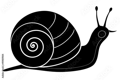 snail silhouette vector, Sea snail vector illustration


