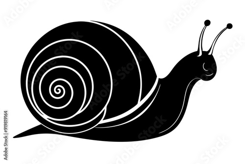 snail silhouette vector, Sea snail vector illustration


