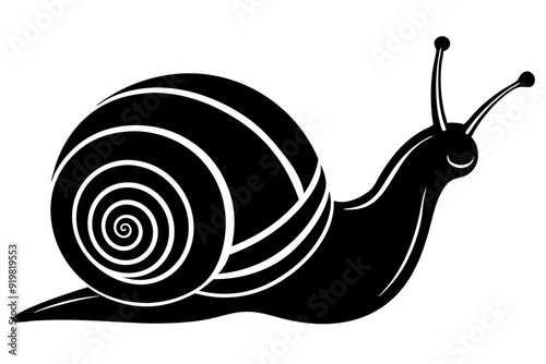 
Snail silhouette vector illustration, snail icon symbol