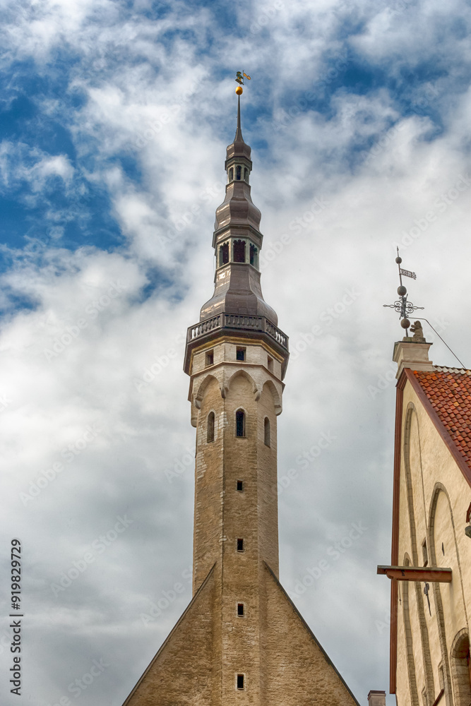 Fototapeta premium Tallinn Town Hall