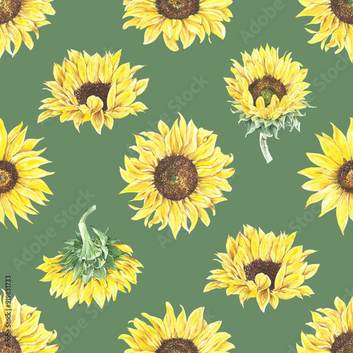 seamless pattern with sunflowers