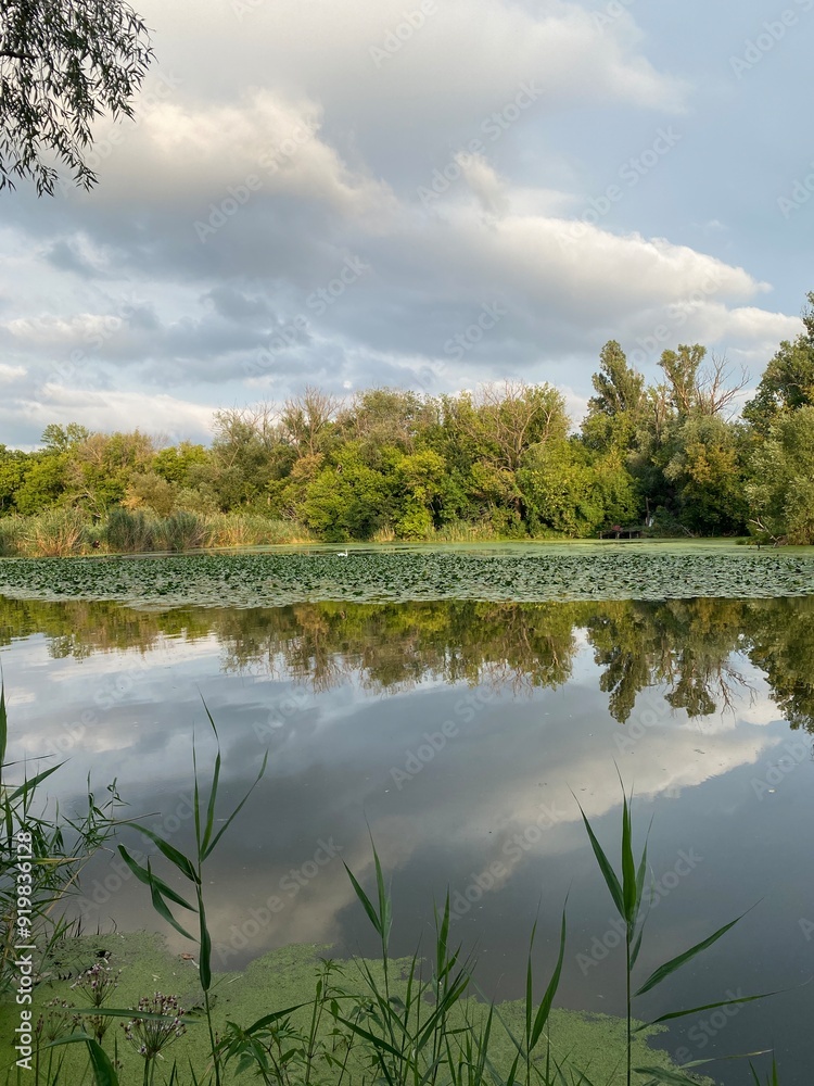 landscape with lake landscape with lake