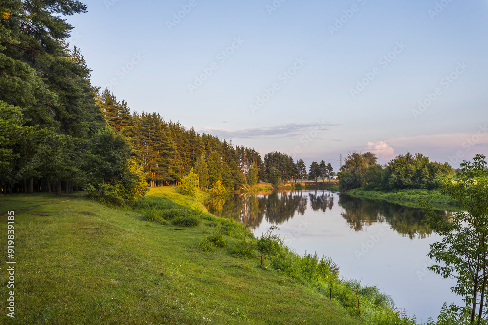 Fototapeta premium A river with a green bank and trees in the background
