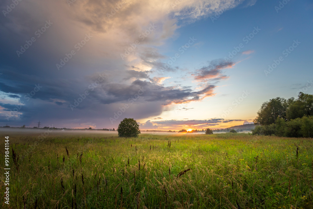 Obraz premium A field of grass with a tree in the middle and a cloudy sky in the background