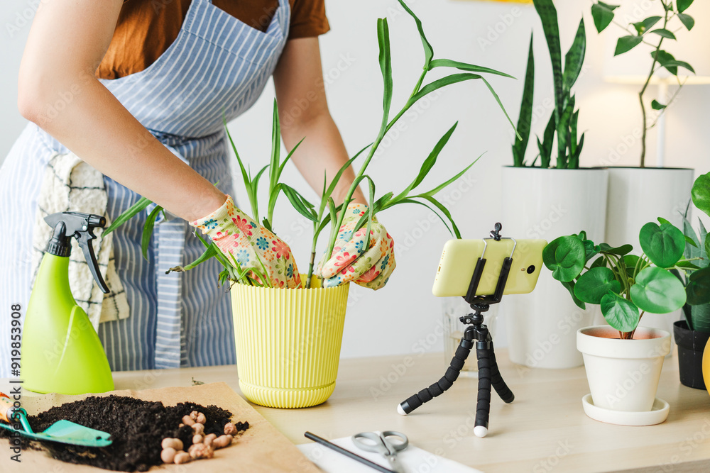 Gardener woman repotting plant at home and recording video using smartphone Gardener woman repotting plant at home and recording video using smartphone