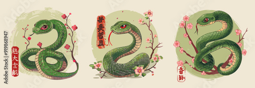 Chinese snakes paint art. Snake year 2025 zodiac concept, reptile viper with sakura flowers tree branches oriental asian culture watercolor drawing for cover set vector illustration