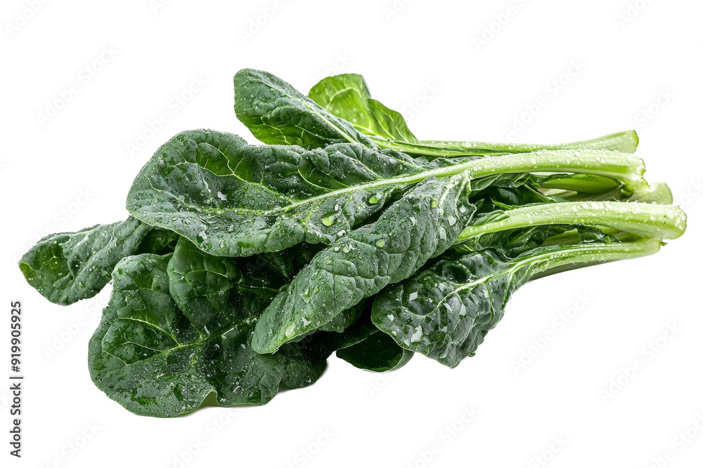 green surface on white pile separated from white and transparent background green surface on white pile separated from white and transparent background