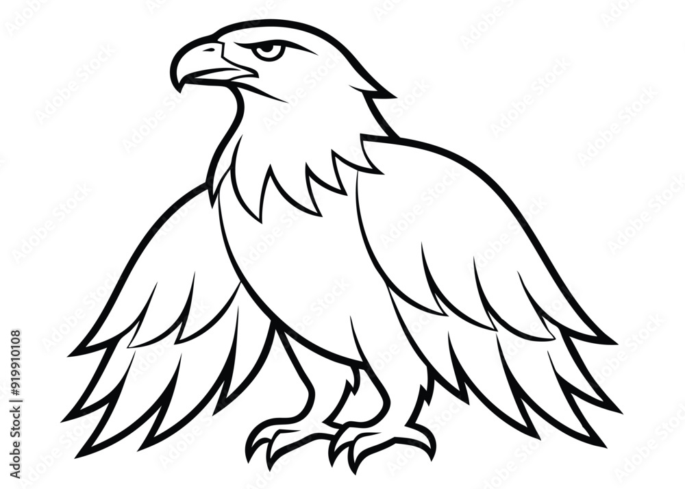 Fototapeta premium eagles Silhouette vector illustration 