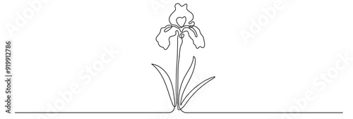 Orchids one line drawing vector continuous illustration. Editable stroke