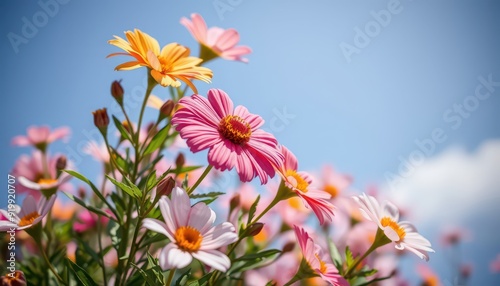 Pink and Yellow Flowers Against Blue Sky.