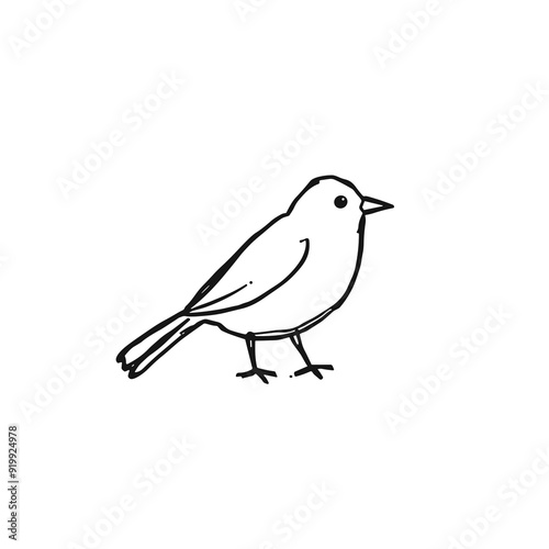 Minimalist line sketch of a standing bird photo