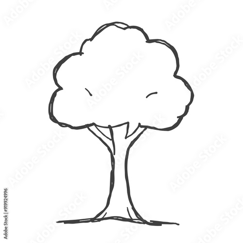 Minimalist line drawing of a tree photo