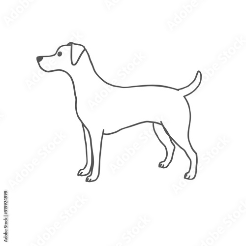 Outline drawing of a standing dog in minimalist style