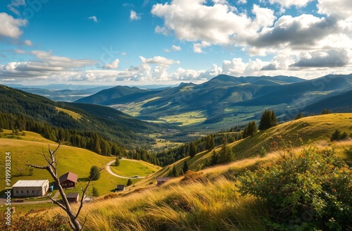 A scenic landscape