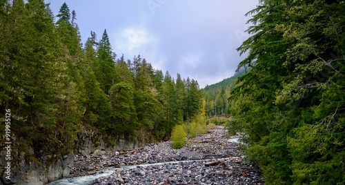 Mostly empty riverbed in Mt. Rainier National Park - Washington, USA photo