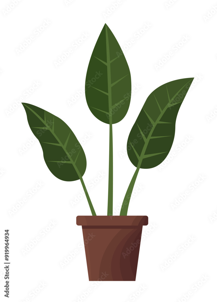 Vector illustration of a potted houseplant. Decorative green houseplant in pot and planter, natural home decor and urban jungle. Vector illustration Vector illustration of a potted houseplant. Decorative green houseplant in pot and planter, natural home decor and urban jungle. Vector illustration