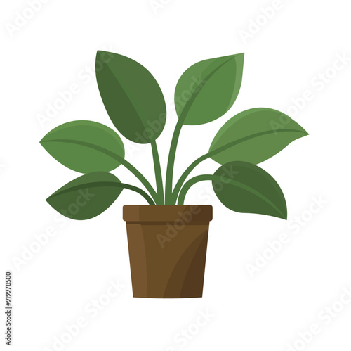  Green flora for the house decoration, garden in apartment.  Indoor plant in flowerpot. Vector illustration