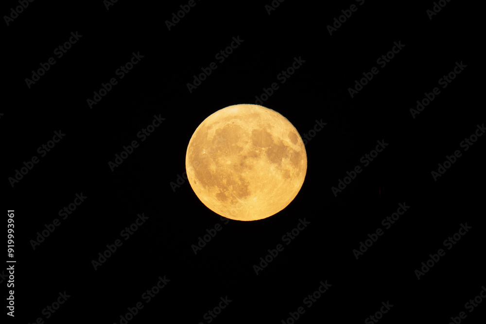 Obraz premium A closeup of the moon in July