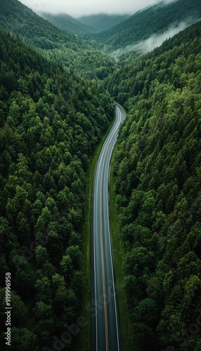 Aerial view of a winding road amidst lush green forests and misty mountains, showcasing the beauty of nature and tranquility.