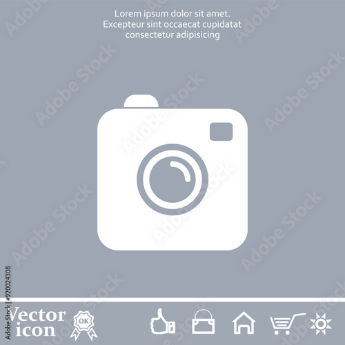 Vector icon of white color on a gray background