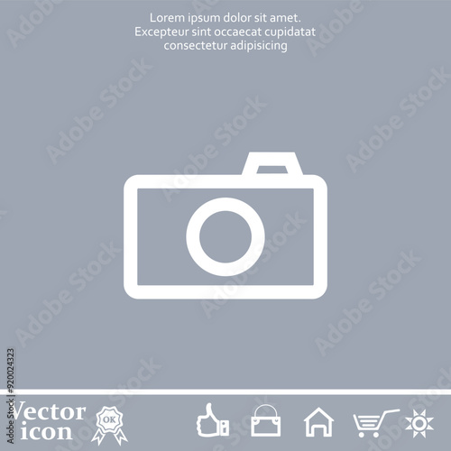Vector icon of white color on a gray background