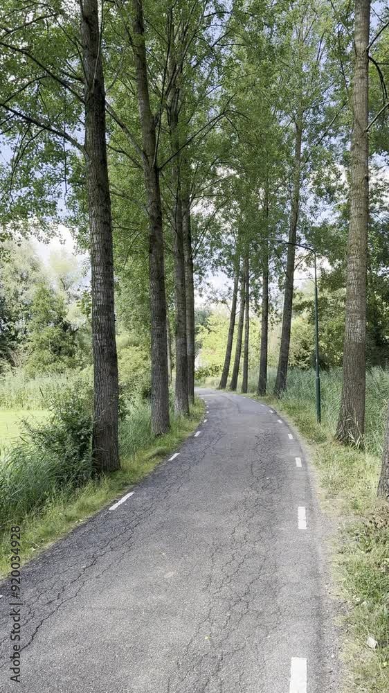A view of the greenery of Leuvense Bos in the municipality of Ermelo, Netherlands A view of the greenery of Leuvense Bos in the municipality of Ermelo, Netherlands