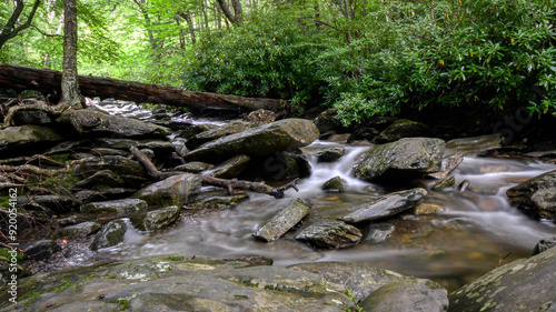 Smoky Mountain creek scenic landscape