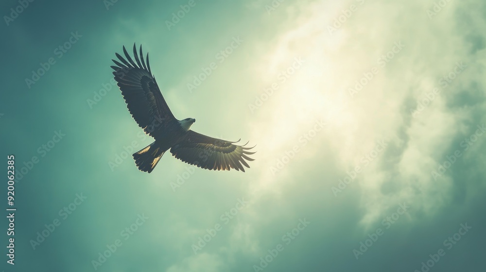 Fototapeta premium Eagle soaring high in the sky, symbolizing freedom and success. Text space available.