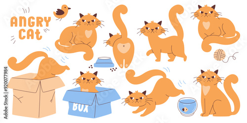 Funny angry cat disgruntled pet animal cartoon character different action and poses collection