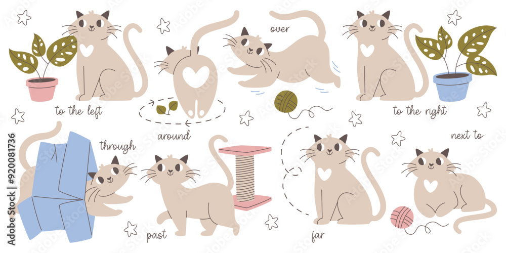 Cute cat pet animal demonstrating prepositions to different objects for preschool education process Cute cat pet animal demonstrating prepositions to different objects for preschool education process