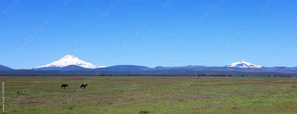 Mt Jefferson: Panoramic view of part of the cascade range from central Oregon Mt Jefferson: Panoramic view of part of the cascade range from central Oregon