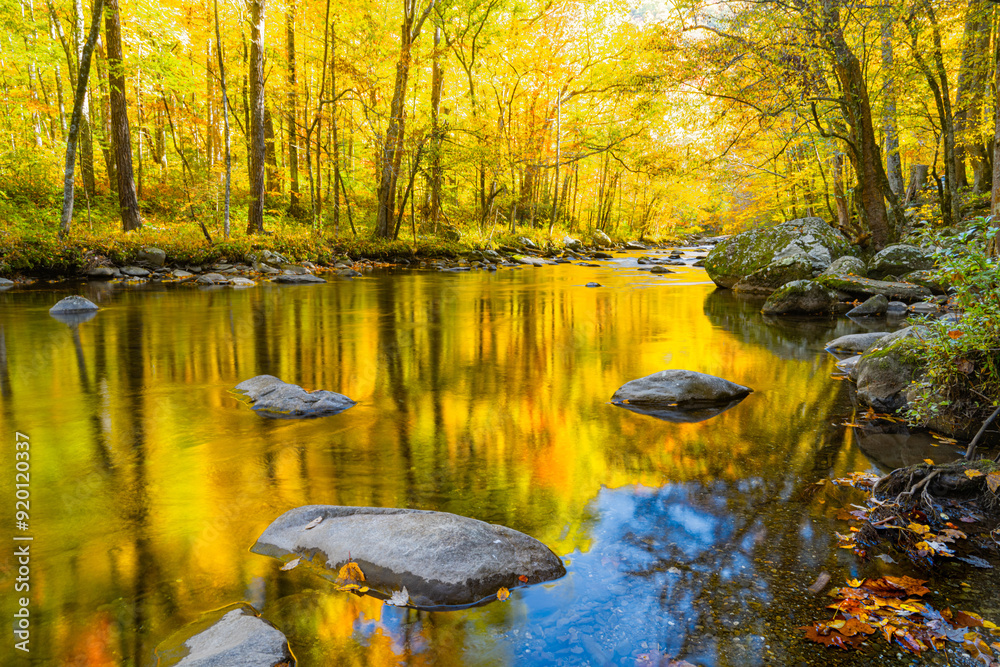Obraz premium Autumn colors reflected in stream