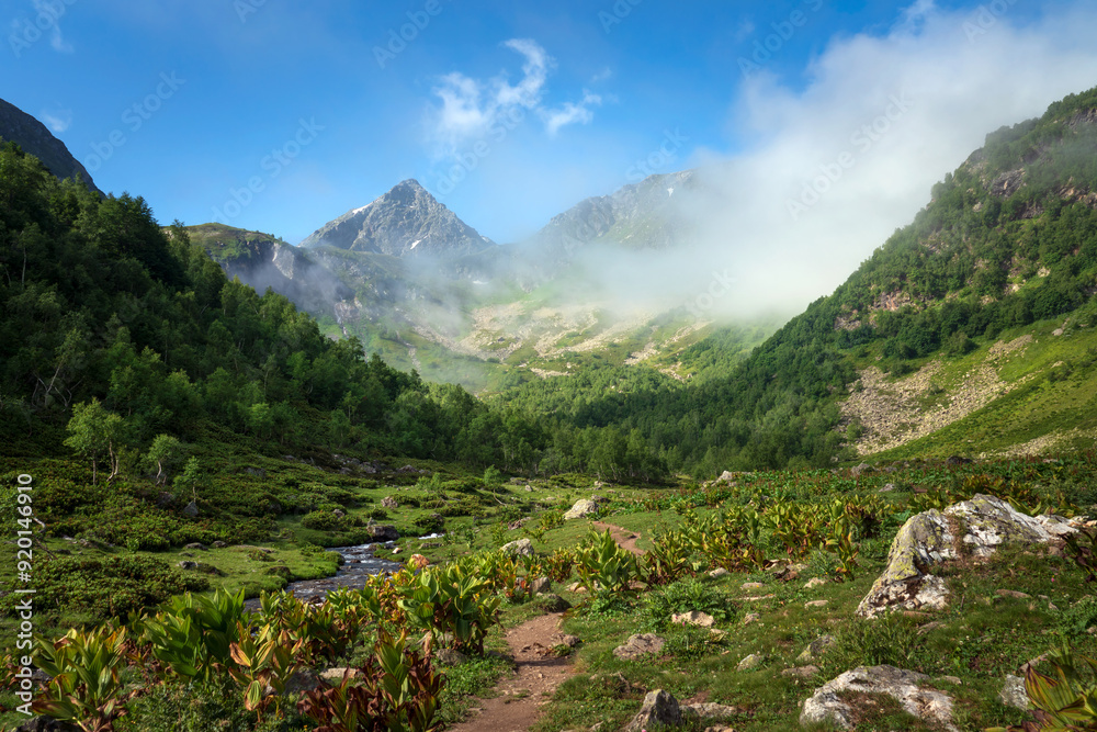 Naklejka premium View of the Malaya Dukka River against the backdrop of the mountains of the North Caucasus on a sunny summer day, Arkhyz, Karachay-Cherkessia, Russia