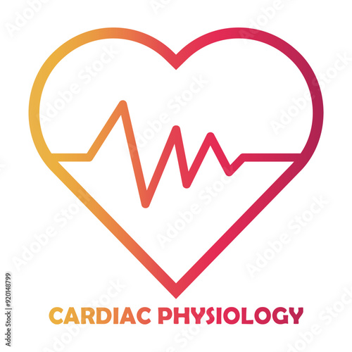 cardiac physiology Line Gradient Icon