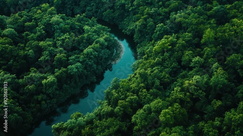 Aerial View of a Serpentine River Winding Through Lush Green Forest Canopy.
