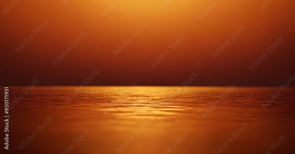 bird is sitting on the edge body water bird is sitting on the edge body water