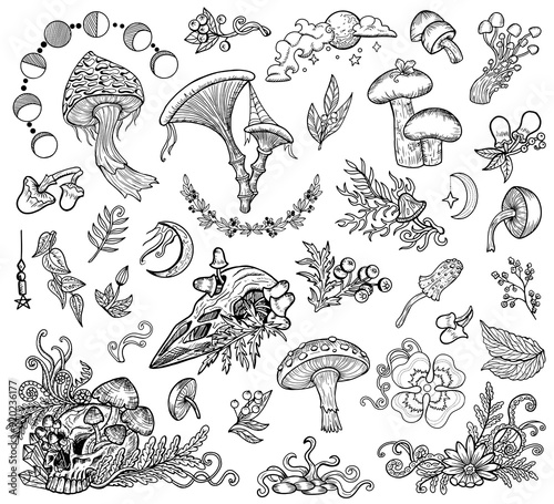 Design vector set with mystic mushrooms, magic and floral decorative doodle elements, witchcraft symbols isolated on white. Esoteric and witchy forest concept, line art illustrations