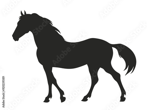 Horse silhouette isolated on transparent background