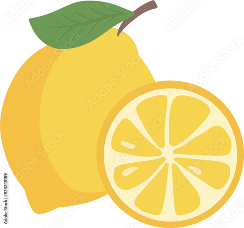 Lemon yellow fruit slice illustration