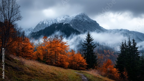  A view of a mountain range with trees in the foreground and a trail winding through them
