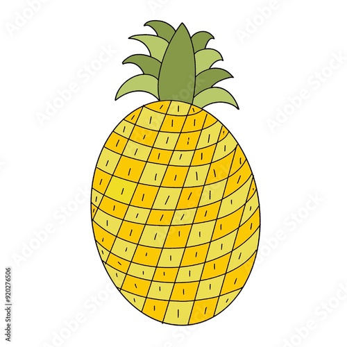 pineapple vector illustration