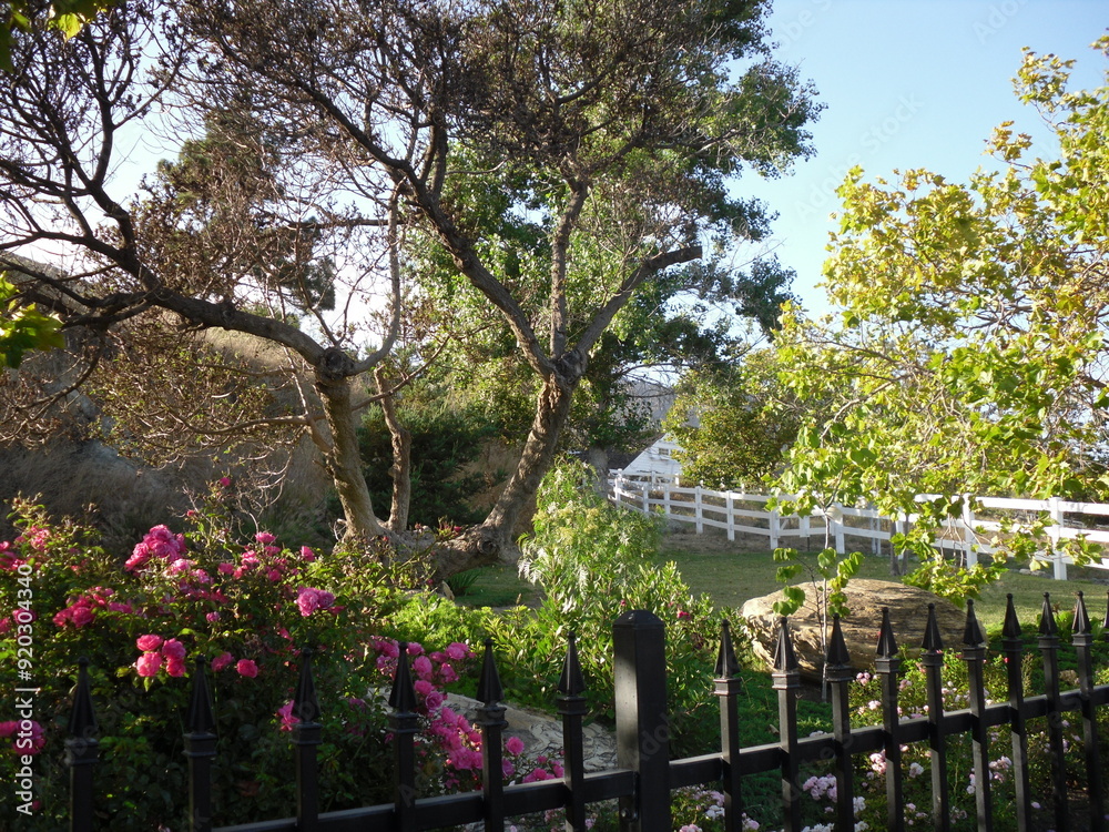 Gartenanlage in Kalifornien Gartenanlage in Kalifornien