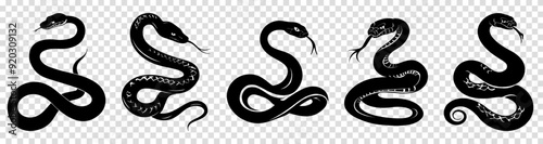 Set of snakes silhouette. Vector illustration isolated on transparent background