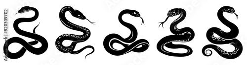 Snake silhouette set. Vector illustration, EPS10