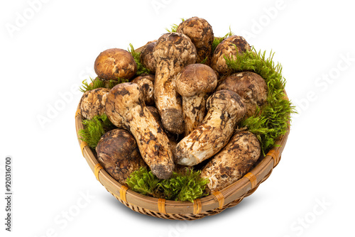 a basket of wild matsutake mushrooms on white background.