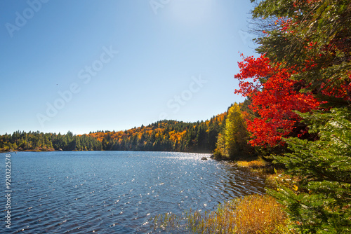 Vibrant fall foliage along the shoreline of Lake Solitude.