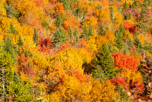 Fall foliage colors above Lake Solitude on Mount Sunapee.