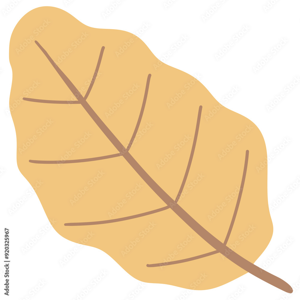 hand drawn autumn leaf